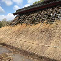 画像233