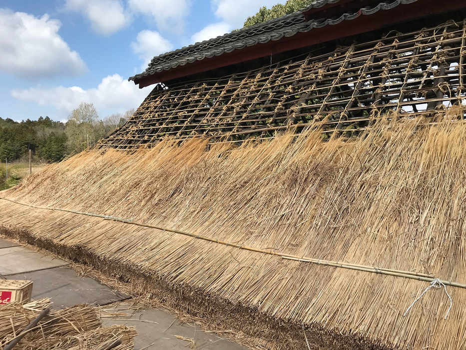 画像233