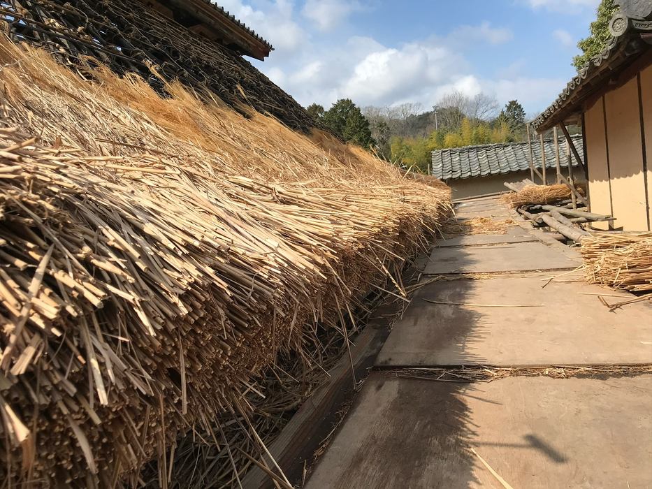 画像236