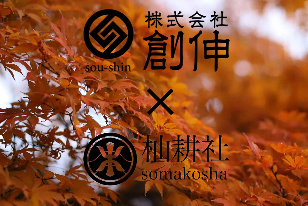 画像387